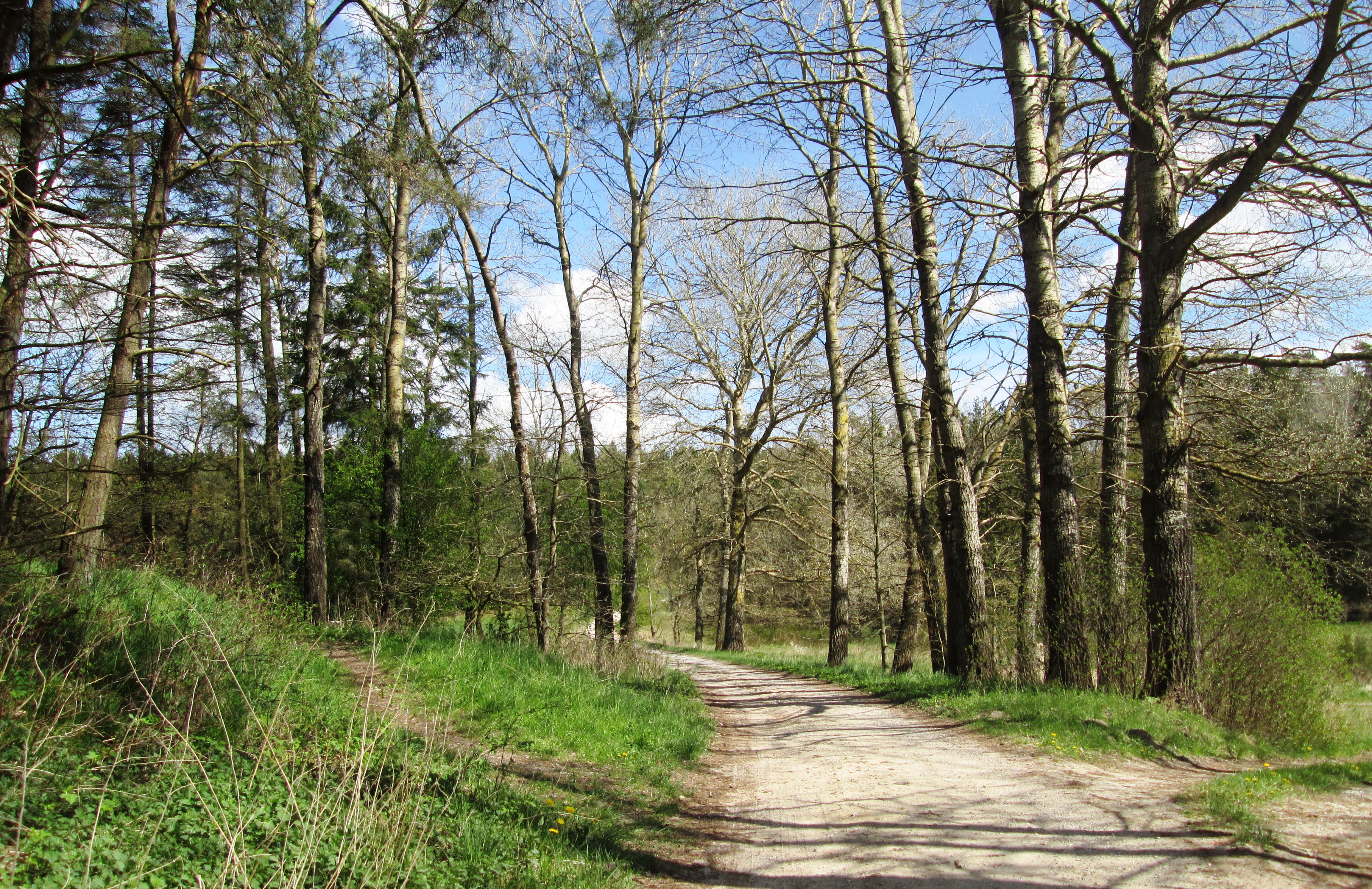 Natur ved Drastrup