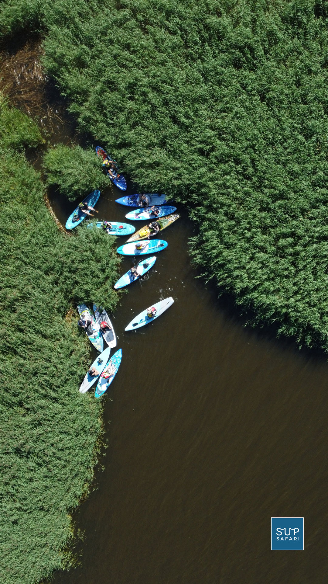 Folk på paddleboards holder hvil på vandet