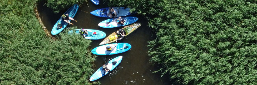 Folk på paddleboards holder hvil på vandet