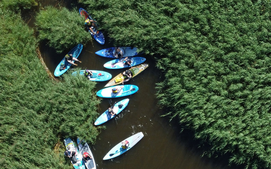 Folk på paddleboards holder hvil på vandet