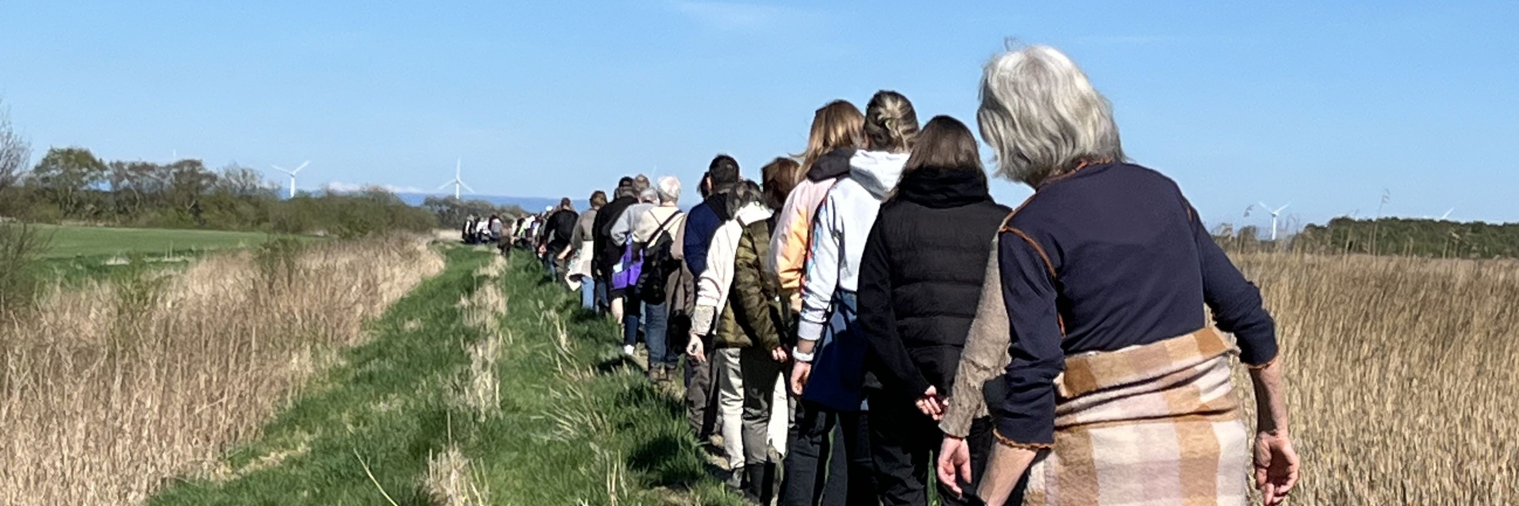 Folk på vandretur på diget langs Randers Fjord
