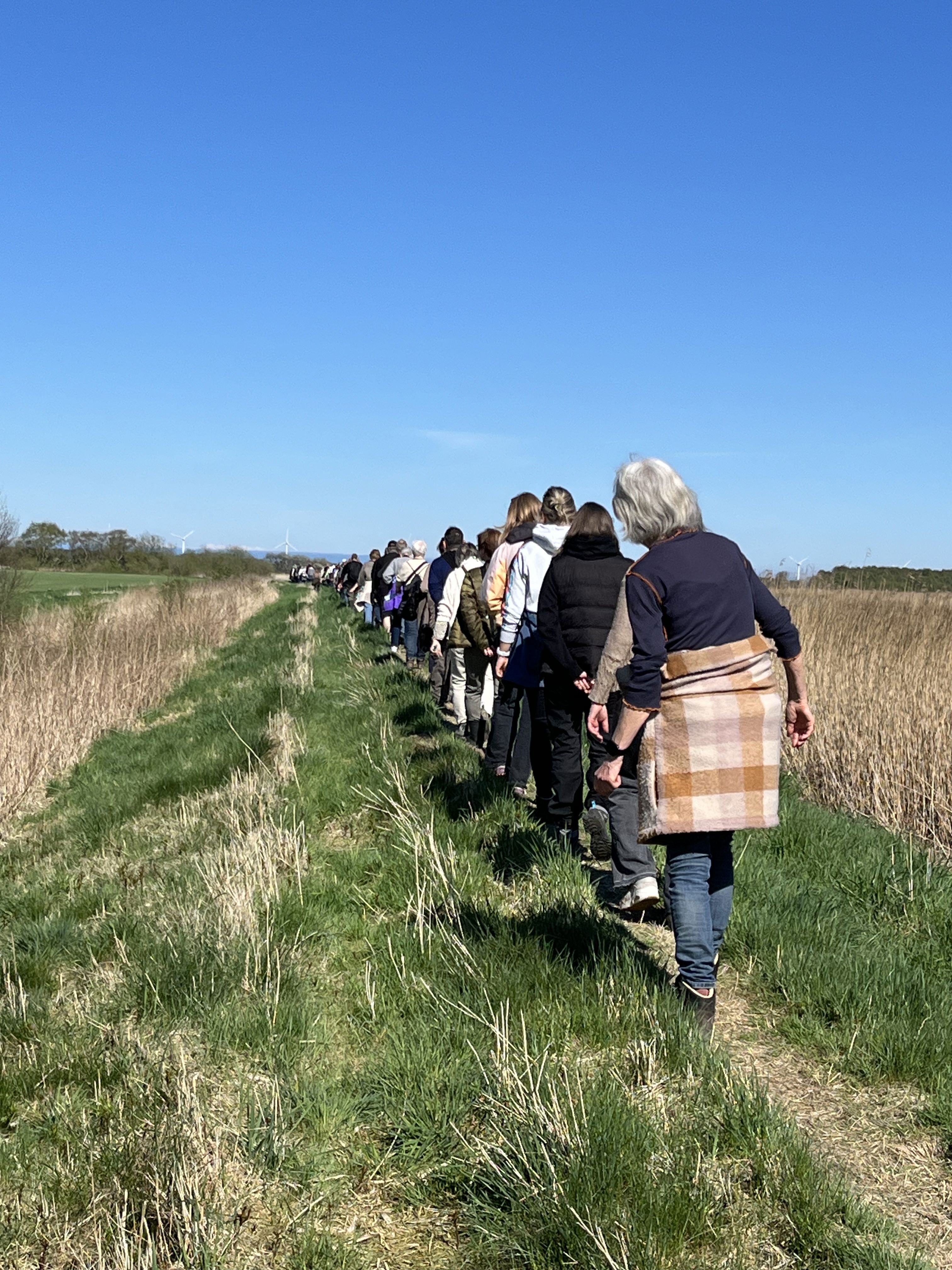 Folk på vandretur på diget langs Randers Fjord